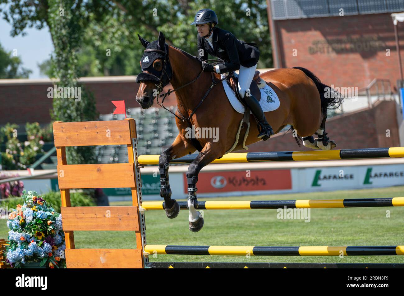 Calgary, Alberta, Kanada, 8. Juli 2023. Tiffany Foster (CAN): Figor, CSI North American, Spruce Meadows - der QE II Cup. Stockfoto