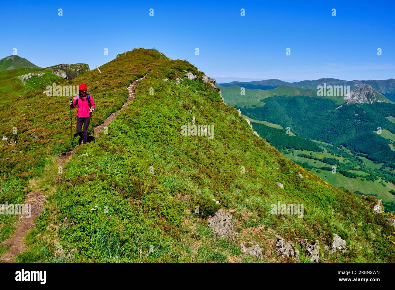 Frankreich, Cantal (15), Volcans d'Auvergne regionaler Naturpark, Kantal Berge, Wanderung nach Puy Mary Stockfoto