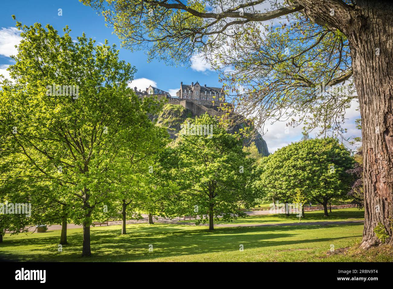 Blick von den Princes Street Gardens in Richtung Edinburgh Castle, Edinburgh, Stadt Edinburgh, Schottland, Großbritannien Stockfoto