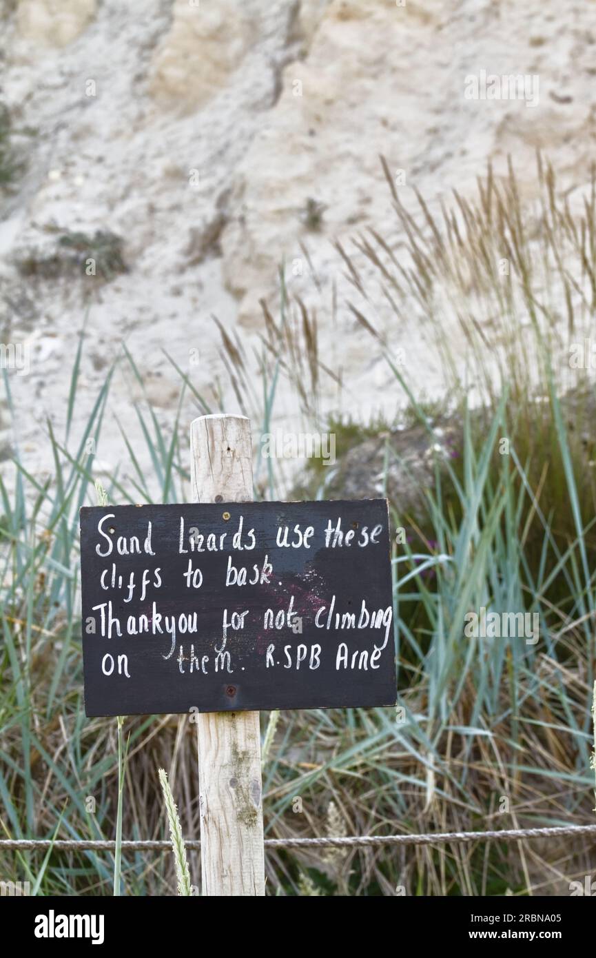 Höflicher Warnhinweis, nicht auf Sand Banks, Cliffs, The Habitiat of the Rare Sand Lizard, Lacerta agilis, RSPB Arne, Dorset, England zu klettern Stockfoto