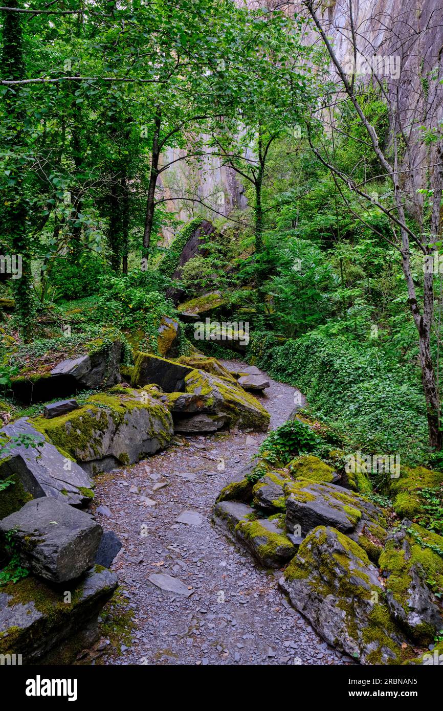 Frankreich, Corrèze (19), Donzenac, Travassac, Standort Pans de Travassac, ehemaliger Schiefer Stockfoto