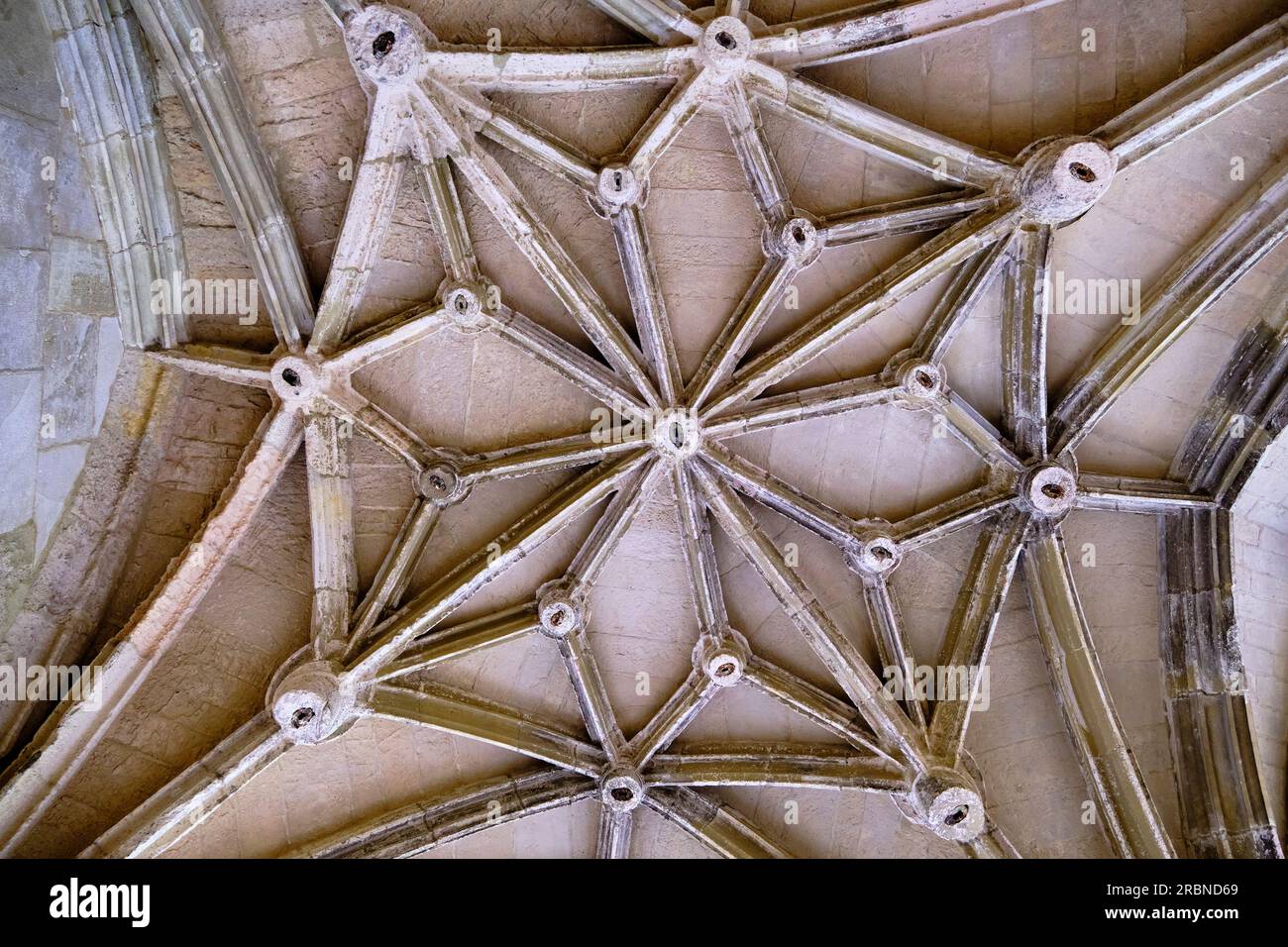 Frankreich, Lot (46), Cahors, Kreuzgang der Kathedrale Saint-Etienne, von der UNESCO zum Weltkulturerbe erklärt Lot Tal, Quercy Stockfoto