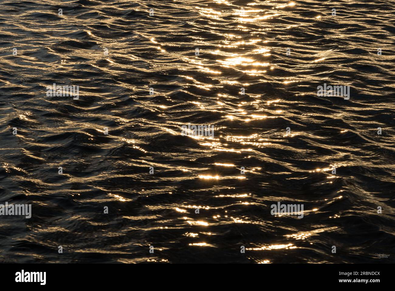 Der Sonnenuntergang spiegelt das goldene Licht über den Wellen des Sees während eines Sommerabends wider. Das wurde in Branson Missouri aufgenommen, United auf Table Roc Stockfoto