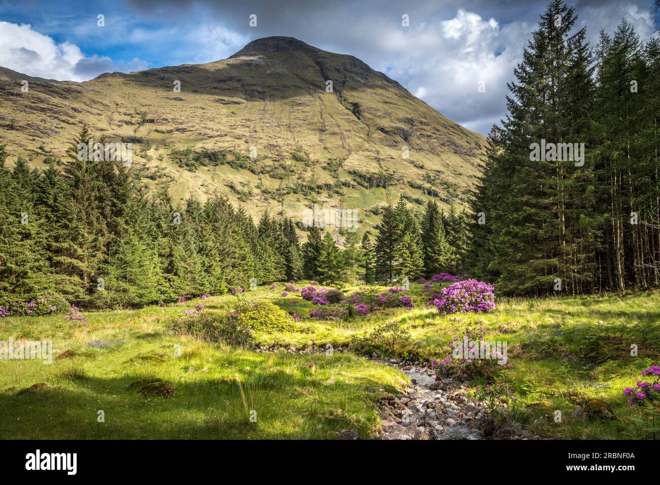 Blick auf Stob Dubh (883m) in Glen Etive, Highlands, Schottland, Großbritannien Stockfoto