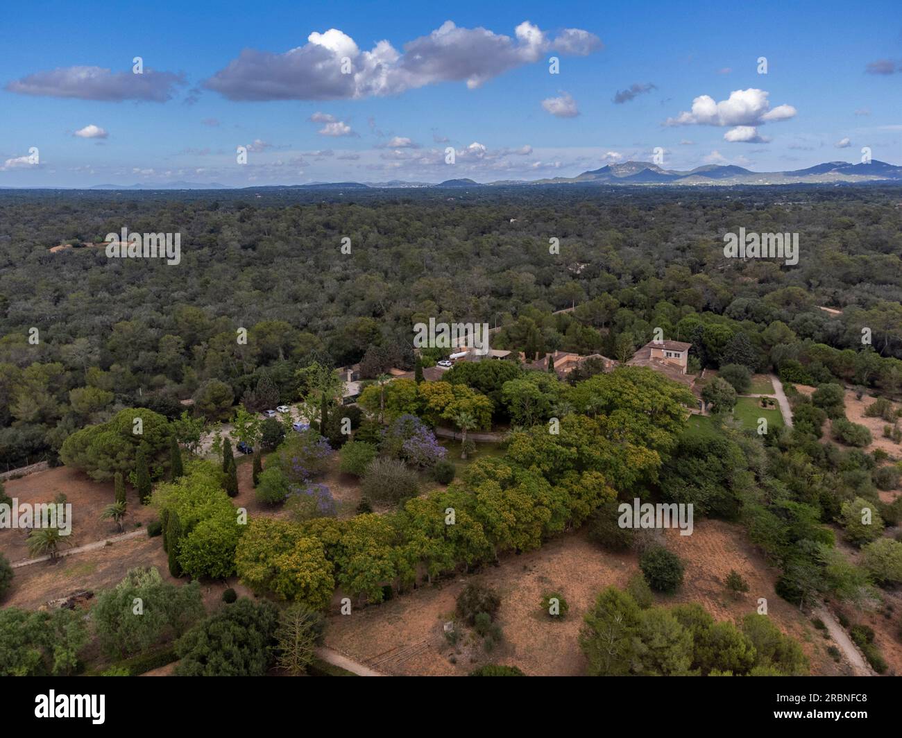 Sa Carrotja, Campos, Mallorca, Balearen, Spanien. Stockfoto