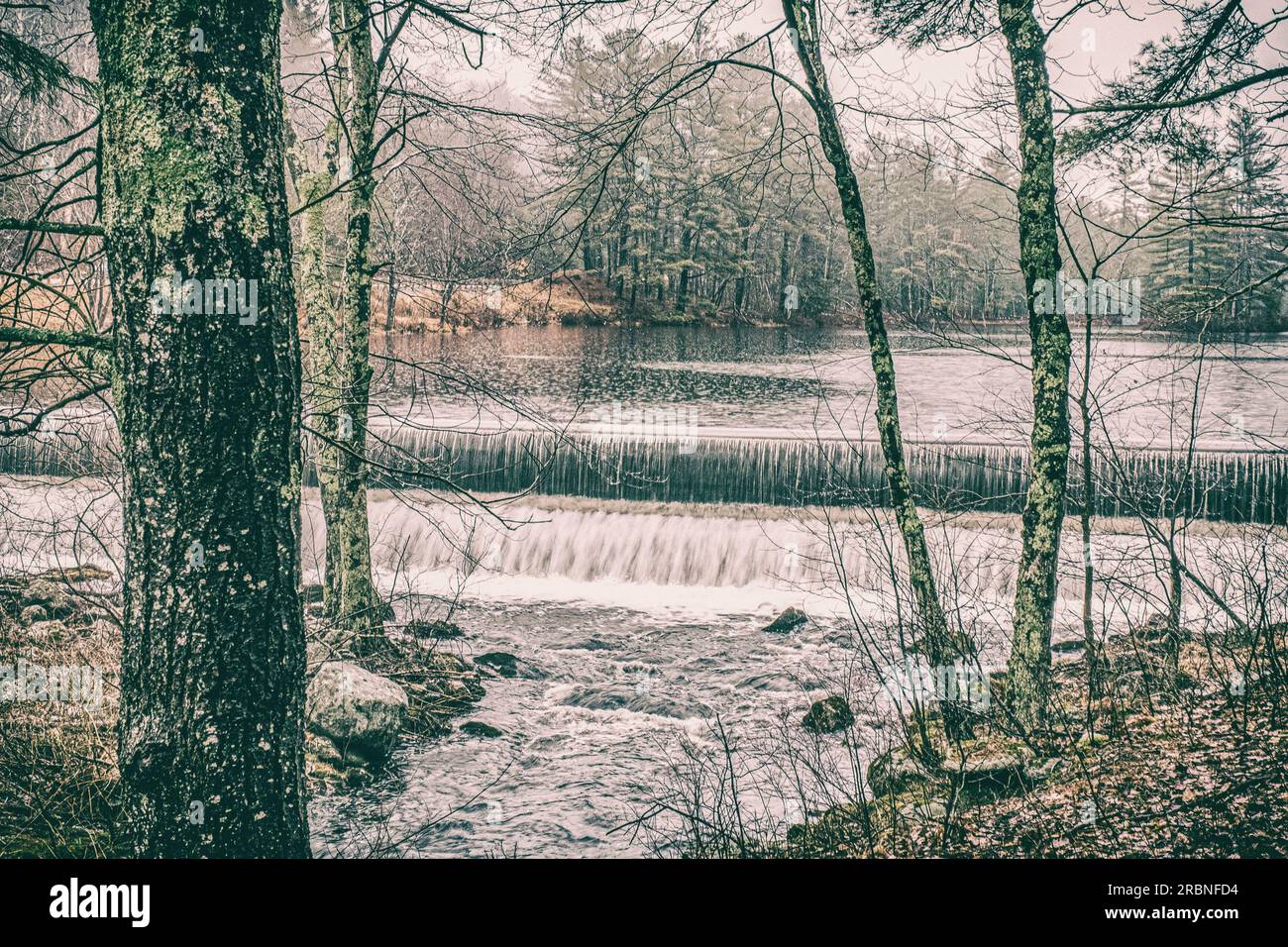 Connors Pond in Petersham an einem bewölkten Tag. Stockfoto