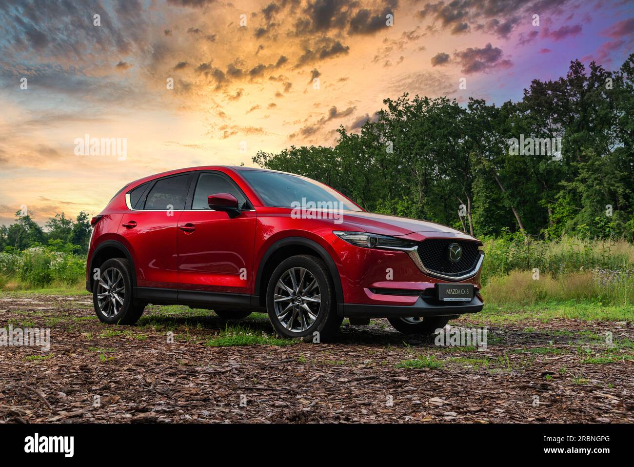 Ukraine - 4. Juli 2021: Neuer roter Mazda CX-5 im Wald bei Sonnenuntergang Stockfoto