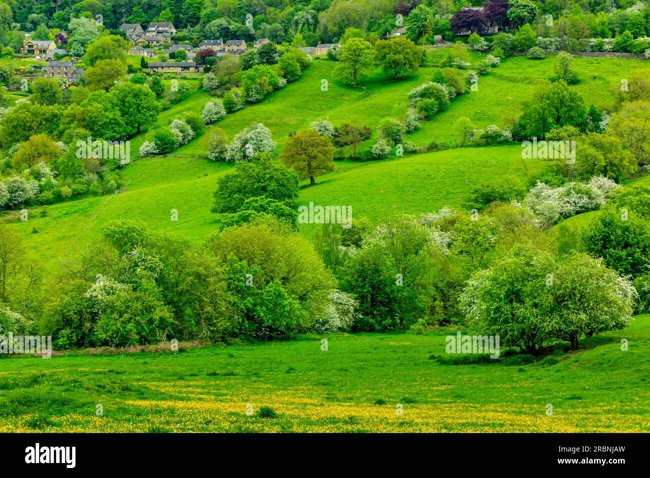 Blick über Felder in Richtung Starkholmes Dorf von Matlock Bath im Derbyshire Dales Peak District England mit Bäumen in Frühlingsfarben. Stockfoto