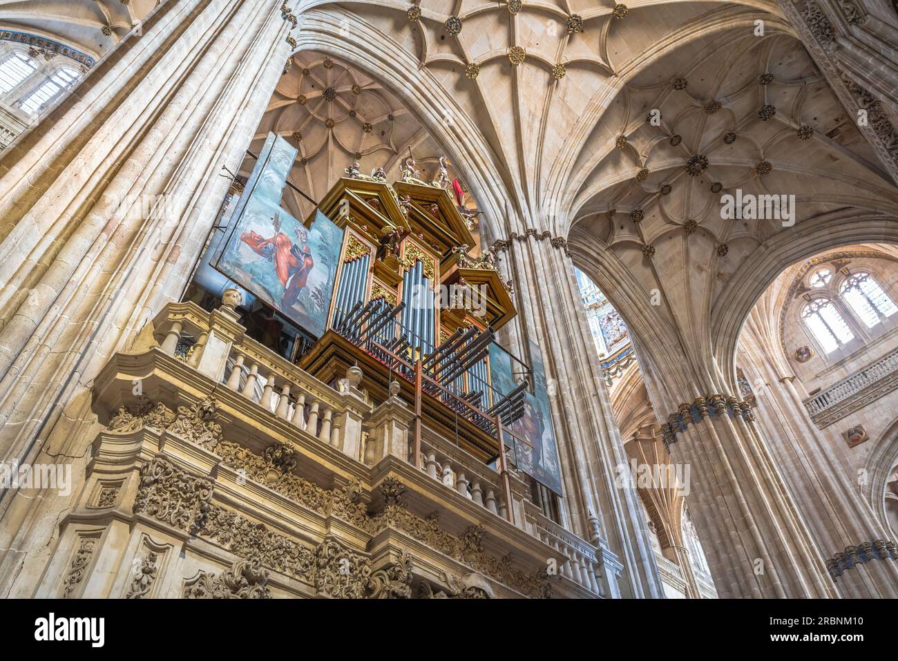 Barockorgel in der neuen Kathedrale von Salamanca - Salamanca, Spanien Stockfoto