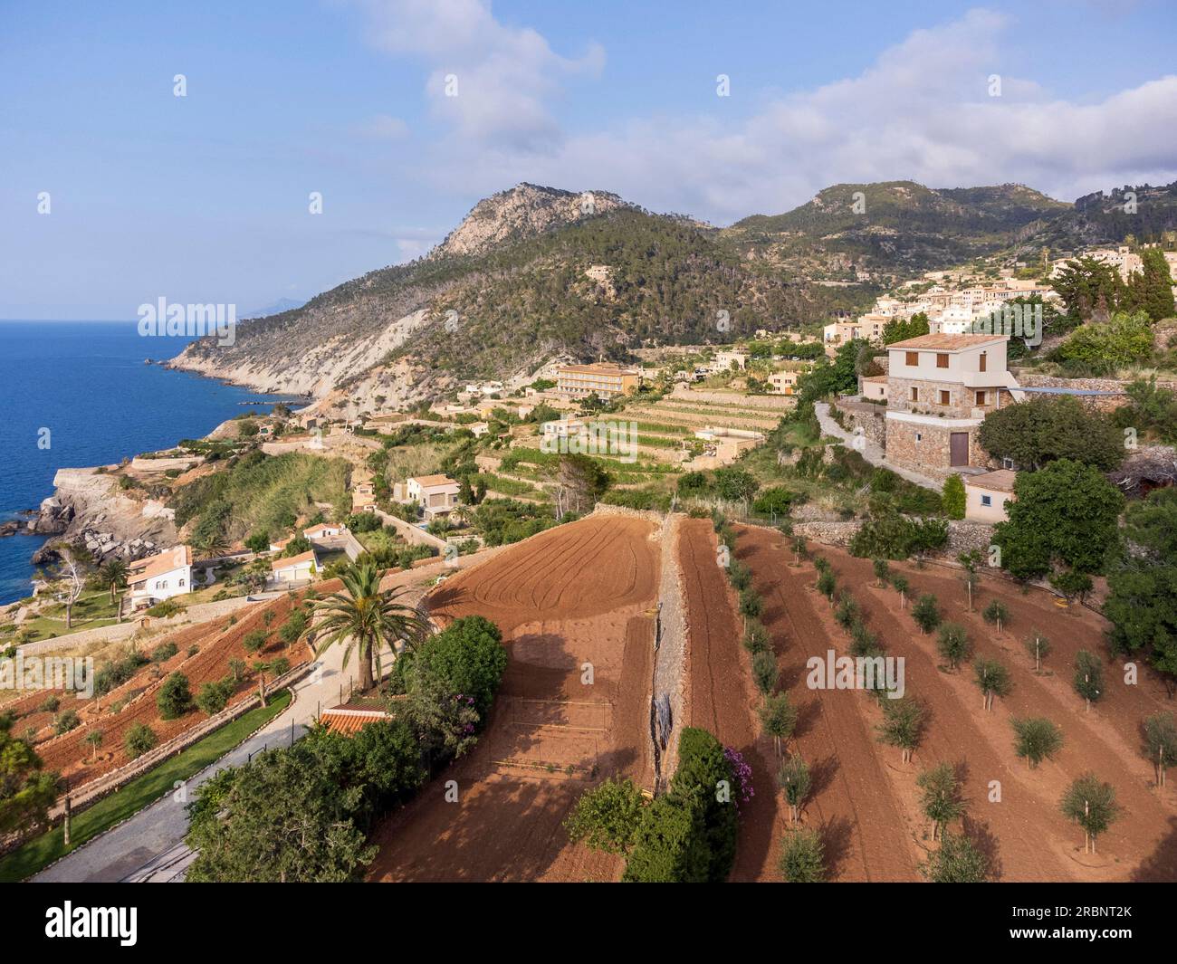 Anbauterrassen, Banyalbufar, Mallorca, Balearen, Spanien. Stockfoto