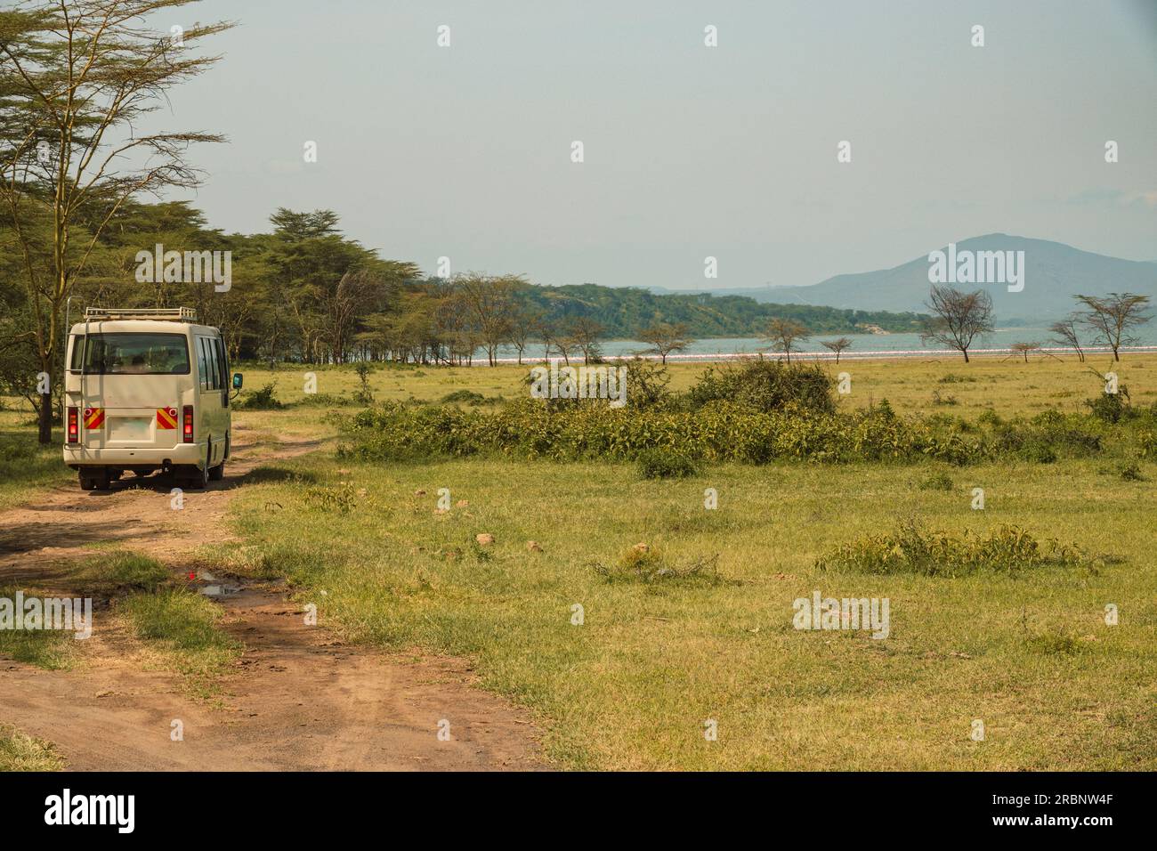 Ein Safari-Fahrzeug in freier Wildbahn am Elementaita-See in Soysambu Conservancy, Naivasha, Kenia Stockfoto