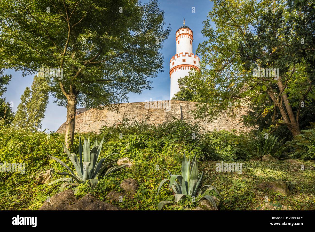 Weißer Turm der Burg Bad Homburg vor der Höhe vom Schlosspark aus gesehen, Taunus, Hessen, Deutschland Stockfoto