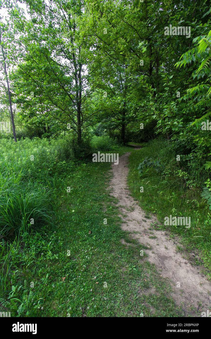 M.L. Red Trabue Nature Preserve, Dublin, Ohio Stockfoto