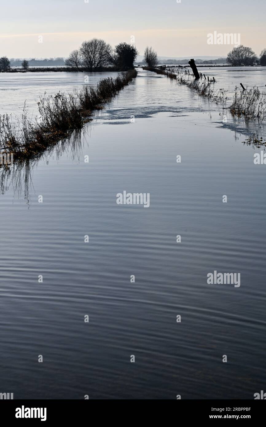 Godney bei Glastonbury Somerset England. Überflutete Felder, Januar 2023 Stockfoto