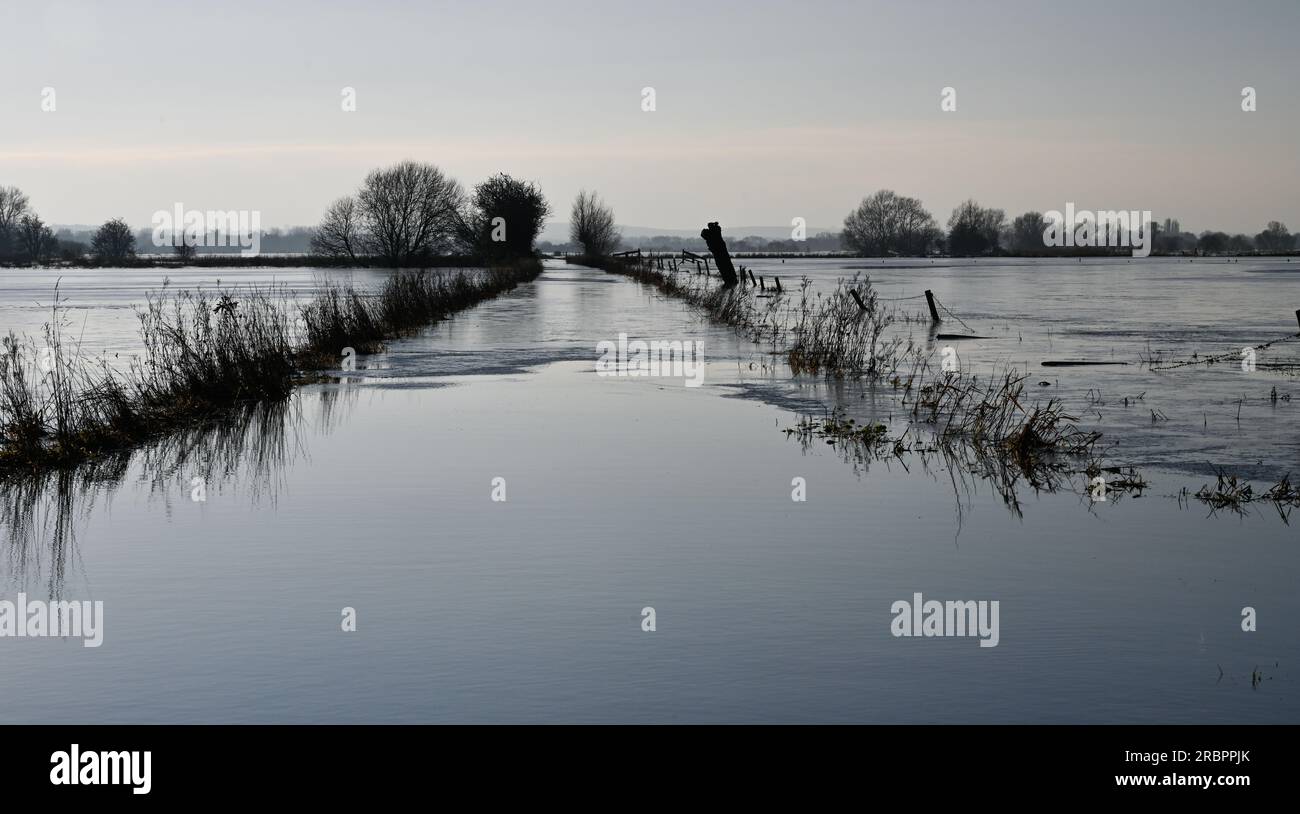 Godney bei Glastonbury Somerset England. Überflutete Felder, Januar 2023 Stockfoto