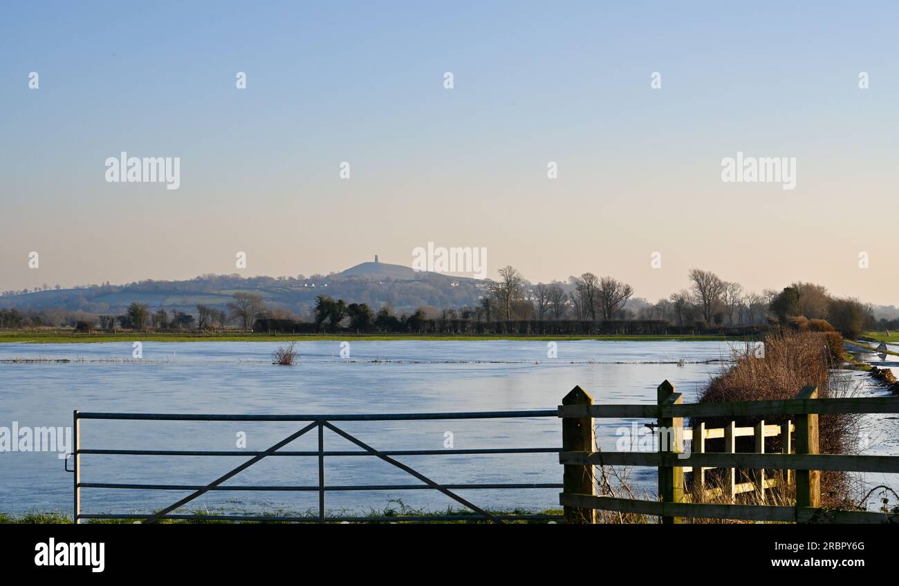 Glastonbury Tor im Winter mit Überschwemmungen im Vordergrund. Von Godney Stockfoto