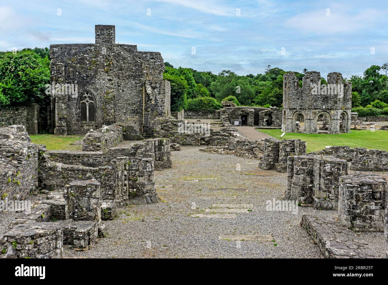 Die Ruinen der alten Zisterzienserabtei Mallifont Tullyallen Village, County Louth, Drogheda, Irland. Stockfoto