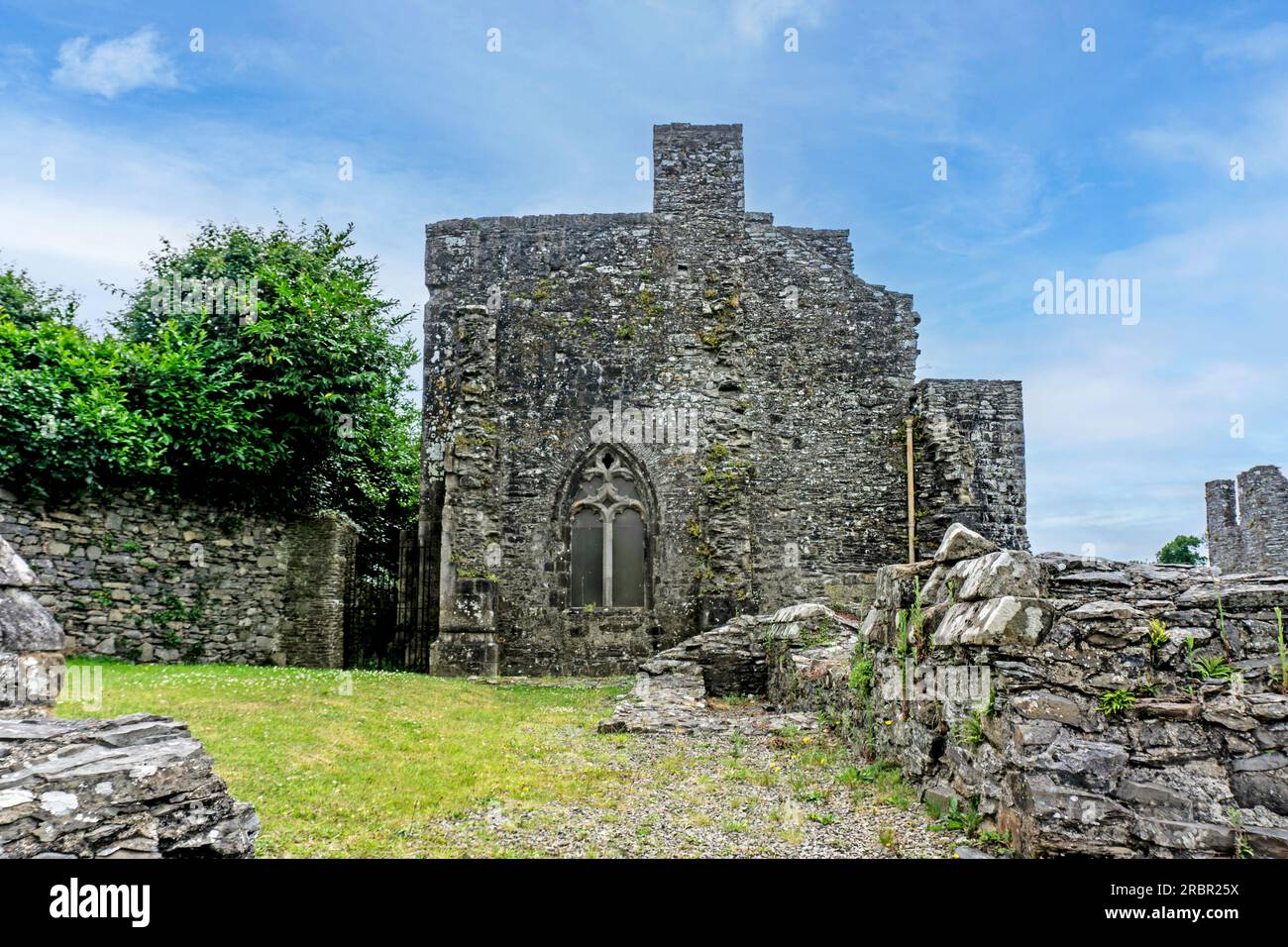 Die Ruinen der alten Zisterzienserabtei Mallifont Tullyallen Village, County Louth, Drogheda, Irland. Stockfoto