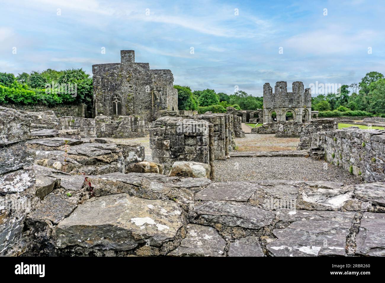 Die Ruinen der alten Zisterzienserabtei Mallifont Tullyallen Village, County Louth, Drogheda, Irland. Stockfoto
