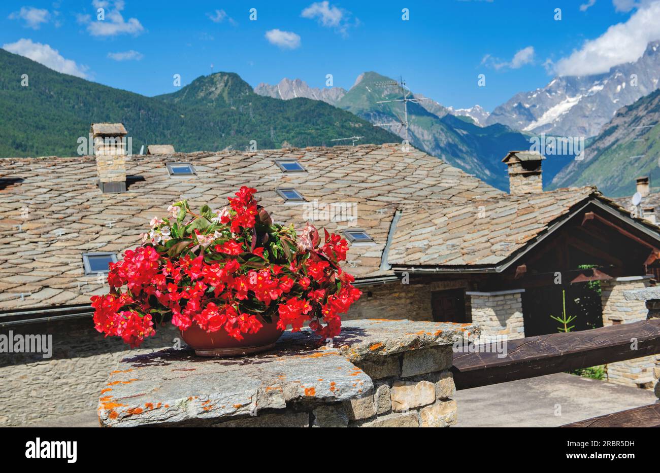 begonia Red blüht in einem Topf vor den Häusern mit Lauzedächern und den Bergen im Hintergrund in einem italienischen Dorf im aosta-Tal Stockfoto