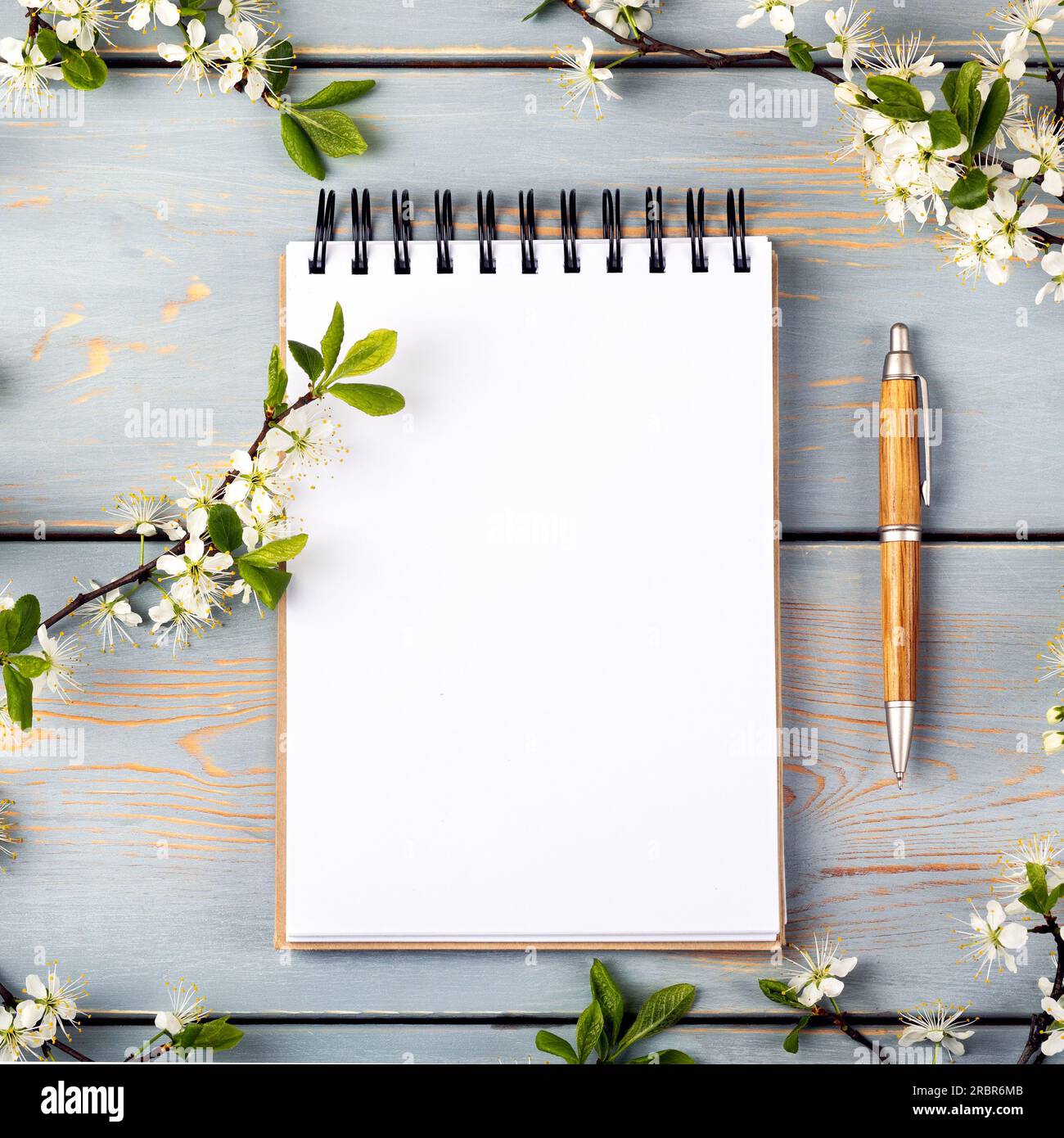 Öffnen Sie das Notizbuch mit leerer Seite und den Stift auf einem blauen Holztisch mit Kirschblüten. Draufsicht, flach liegend. Stockfoto