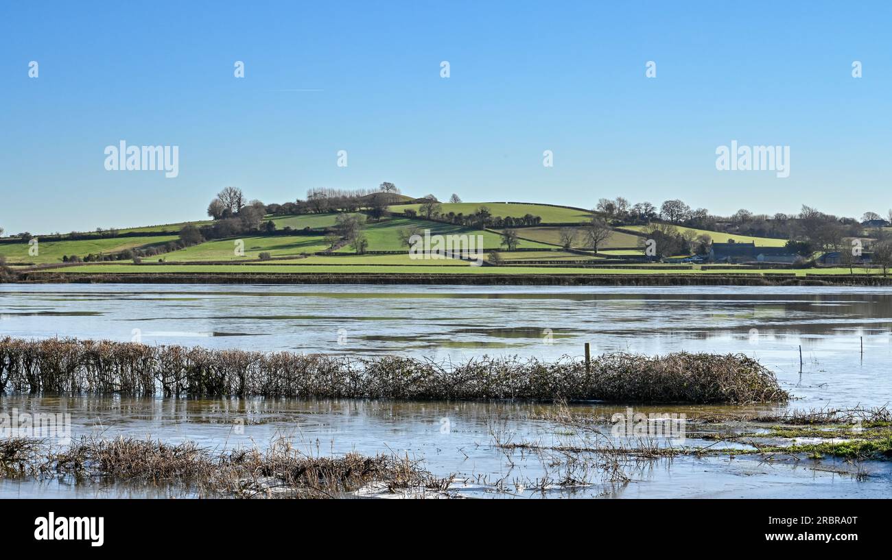 Burrow Hill Somerset mit Winterflut im Vordergrund Stockfoto