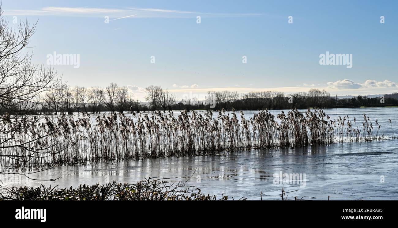 Überflutete und gefrorene Somerset-Ebenen in der Nähe von Highbridge und Burrow Hill Stockfoto