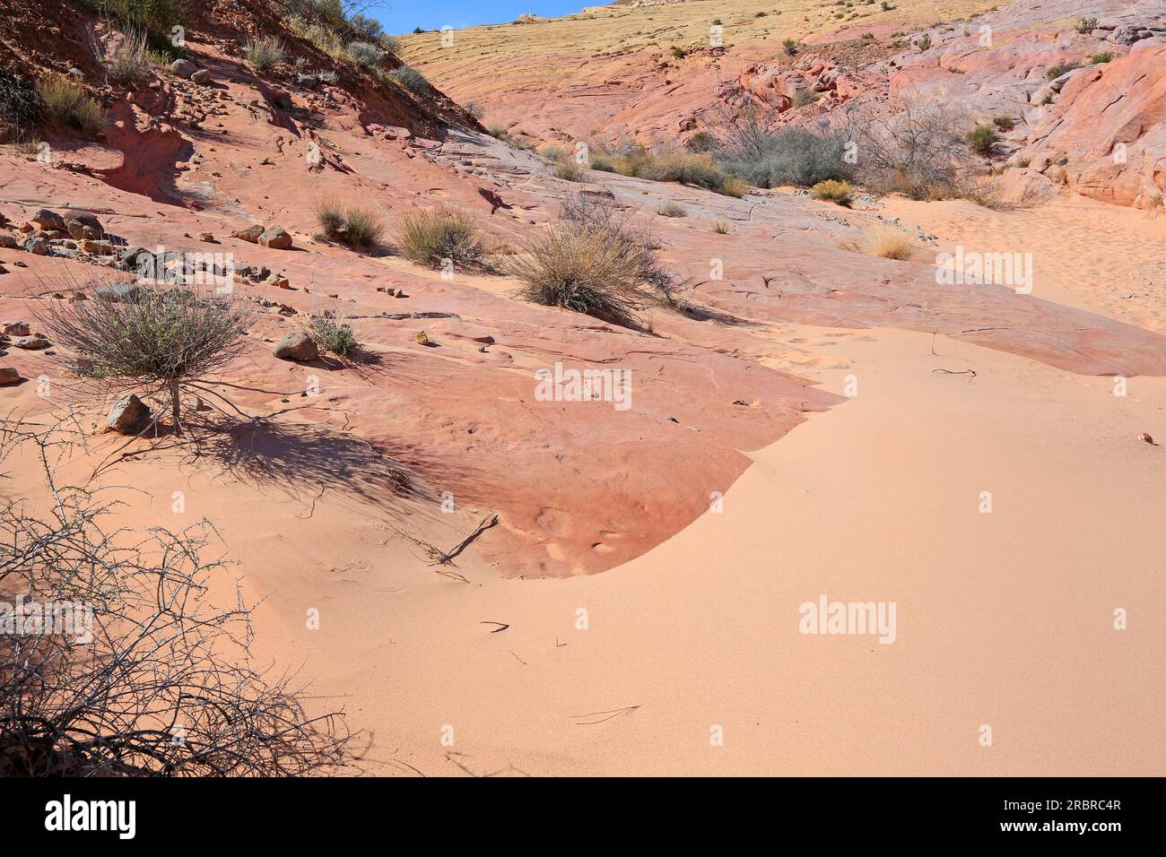 Rosafarbener Sand im Pink Canyon – Valley of Fire State Park, Nevada Stockfoto