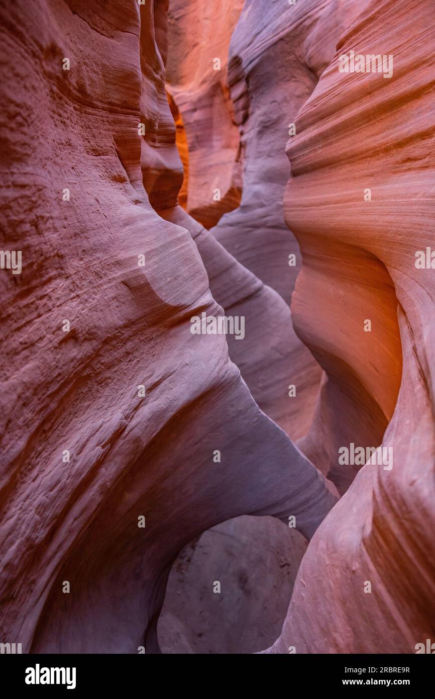 Bergsteiger im Spooky Gulch Slot Canyon | Grand Staircase-Escalante National Monument, Utah, USA Stockfoto