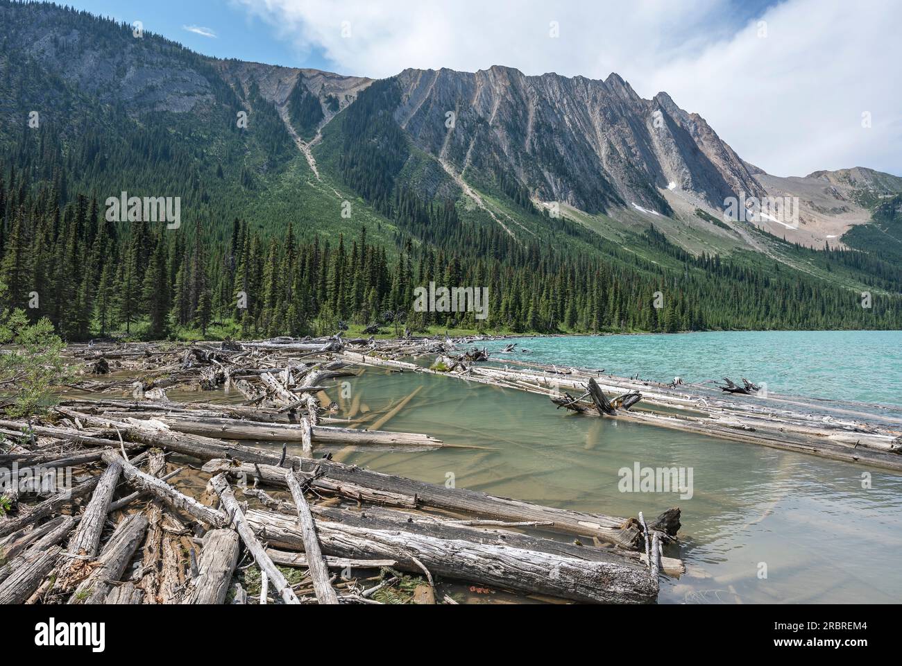 Ein Holzstapel am Rande des Sherbrooke Lake im Yoho National Park, British Columbia, Kanada Stockfoto