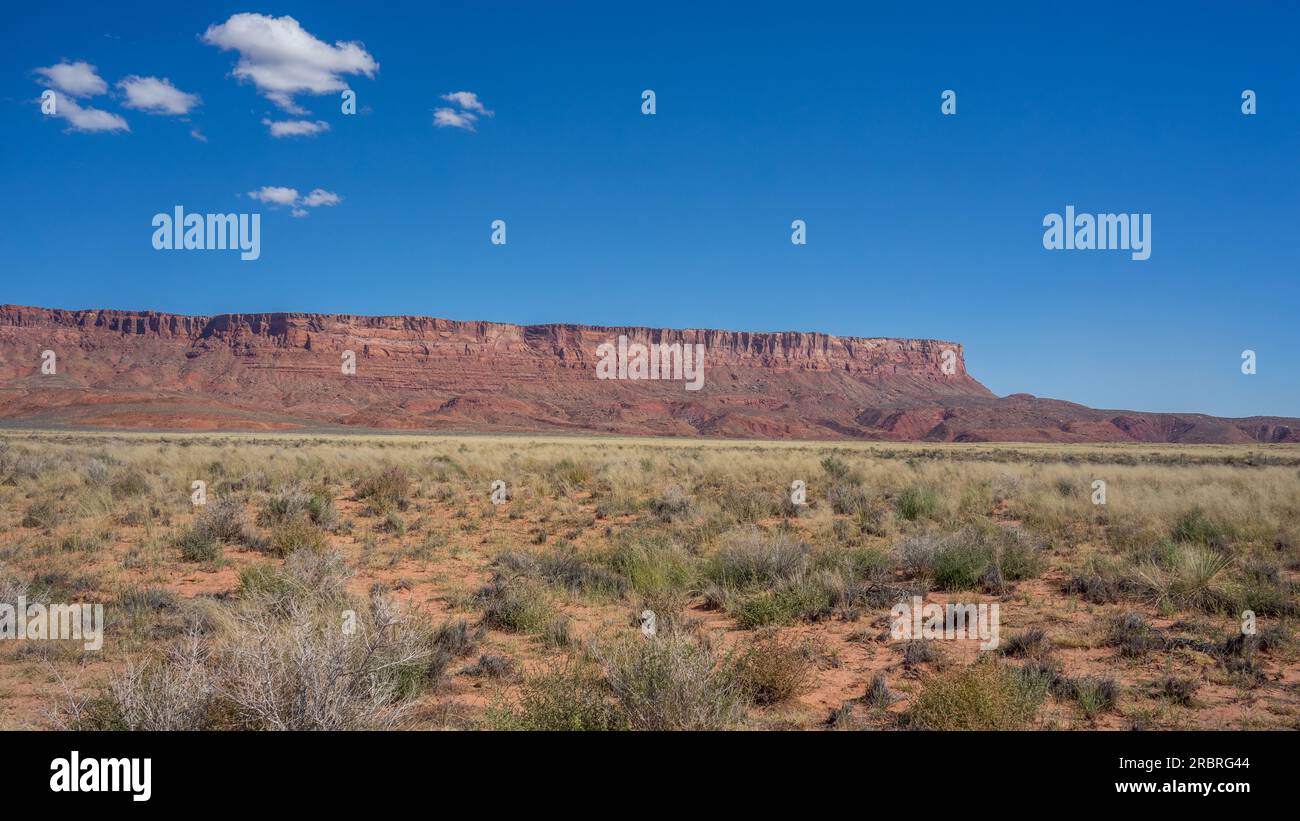 House Rock Valley und Vermilion Cliffs unter blauem Himmel | Arizona, USA Stockfoto