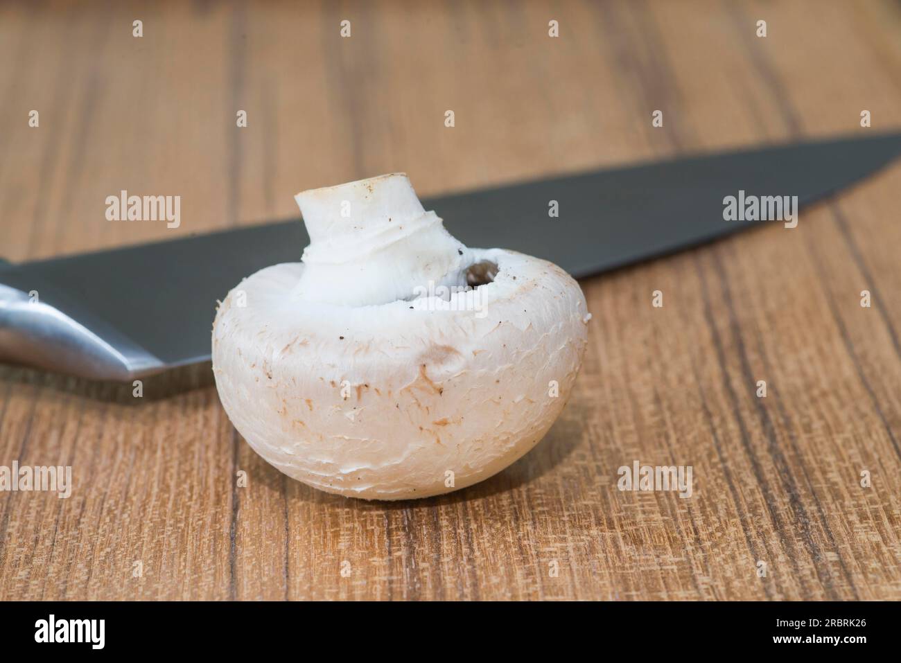 Einzelner ungekochter, ganzer weißer Pilz oder ein gebräuchlicher Pilz (Agaricus bisporus) zur Verwendung in der Küche und vegetarischer Küche Stockfoto
