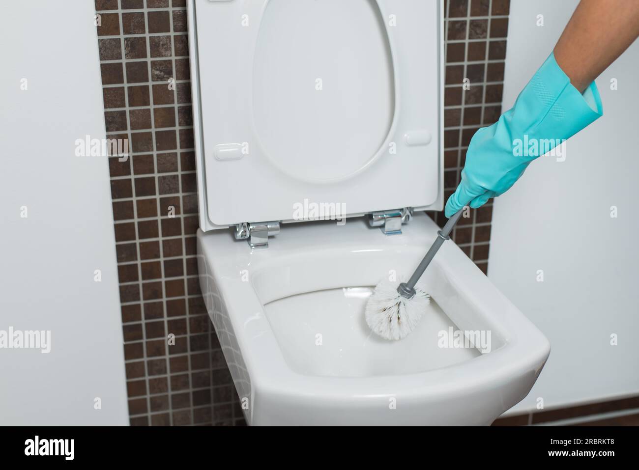 Person, die einen türkisfarbenen Gummihandschuh trägt und unter dem Rand einer Toilettenschüssel mit einer Toilettenbürste reinigt, um Keime und Bakterien im Haushalt zu beseitigen Stockfoto