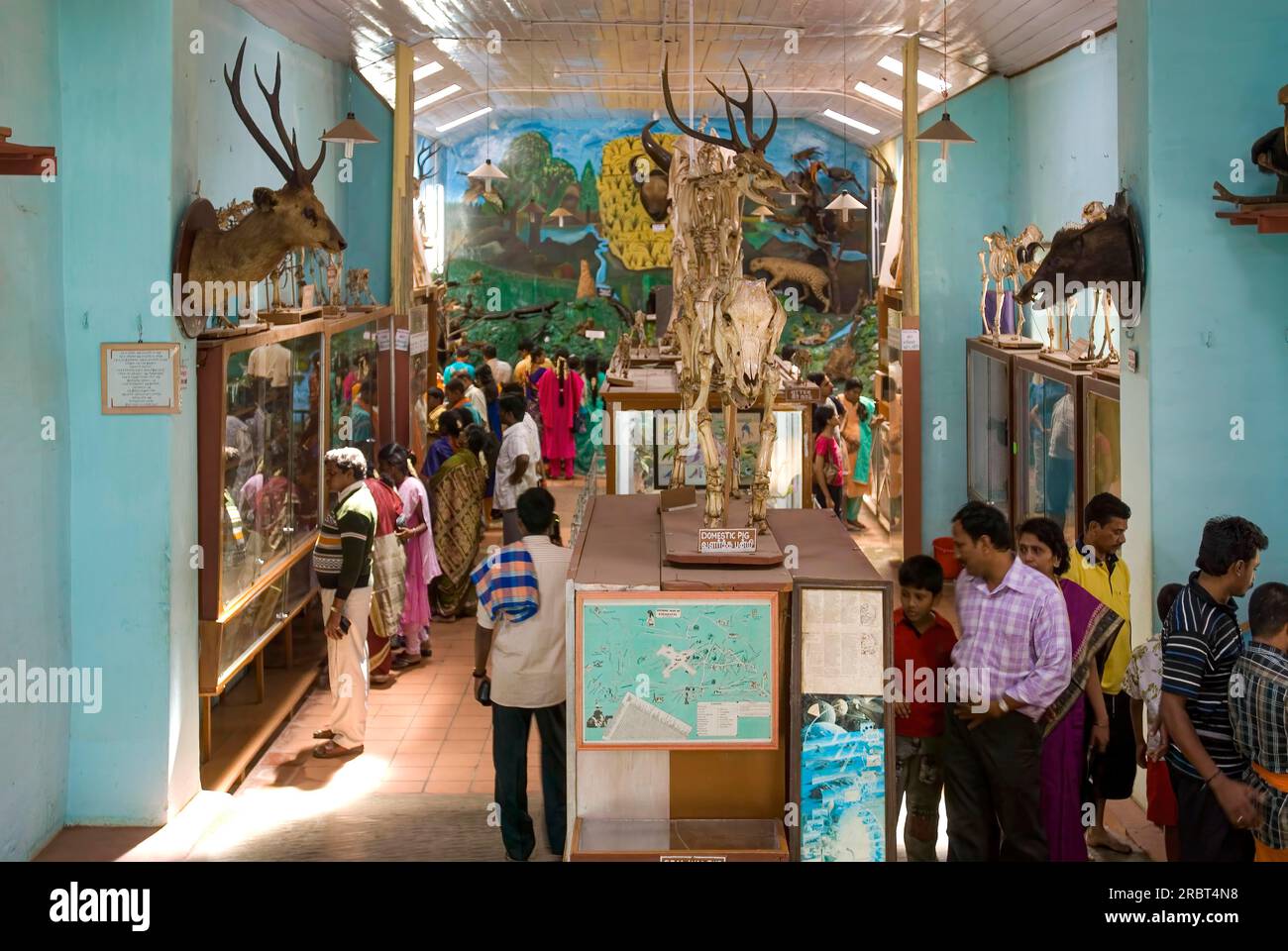 Shenbaganur Natural Science Museum in der Nähe von Kodaikanal, Tamil Nadu, Südindien, Indien, Asien Stockfoto