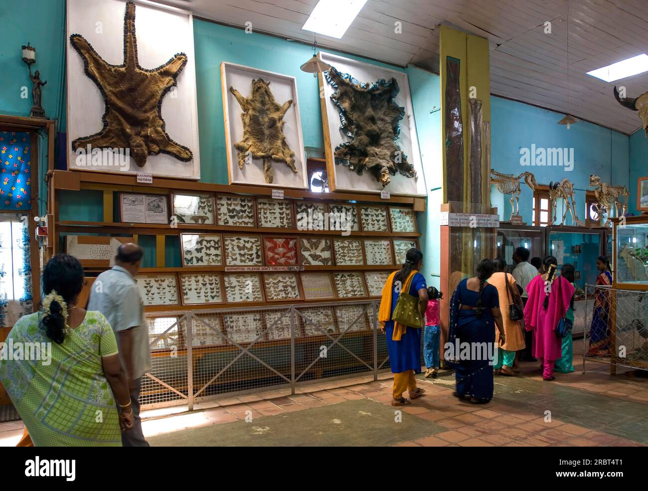 Shenbaganur Natural Science Museum in der Nähe von Kodaikanal, Tamil Nadu, Südindien, Indien, Asien Stockfoto