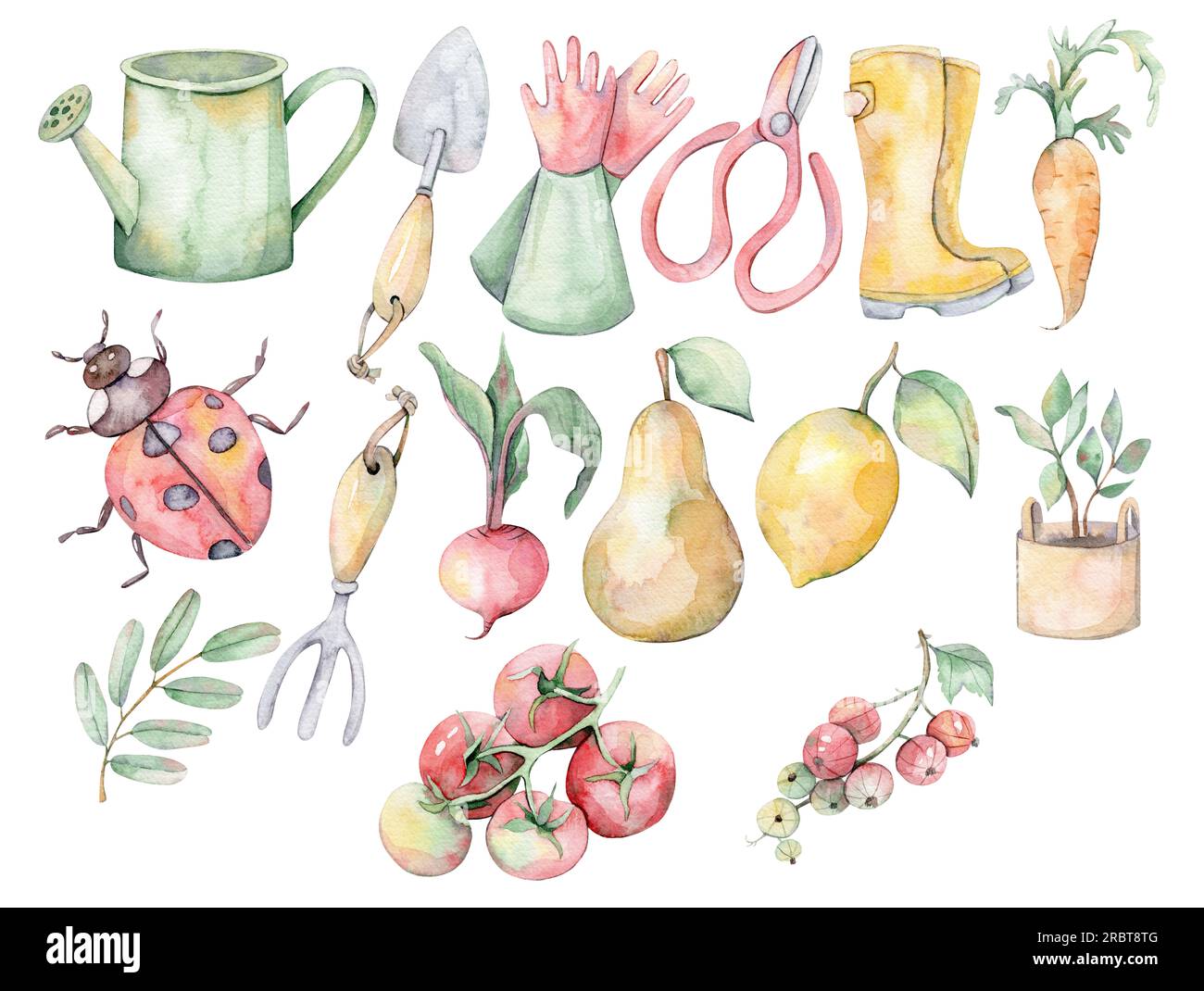 Aquarell-Gartenwerkzeuge. Handgezeichnete Illustration. Separate Elemente. Gemüse. Zitronen Stockfoto
