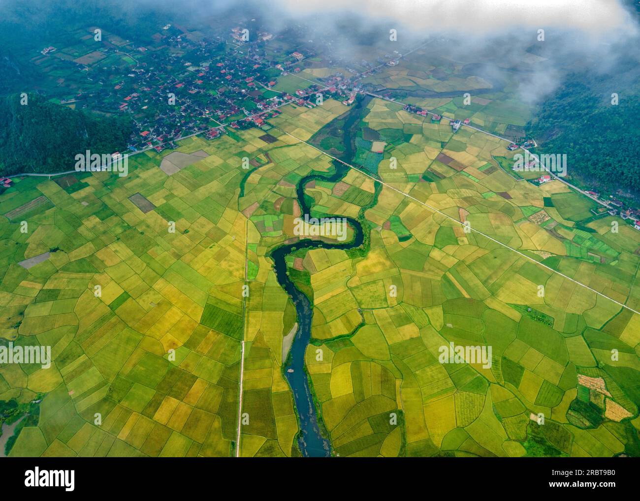 Reife Reisfelder im Bac Son Valley, Vietnam Stockfoto