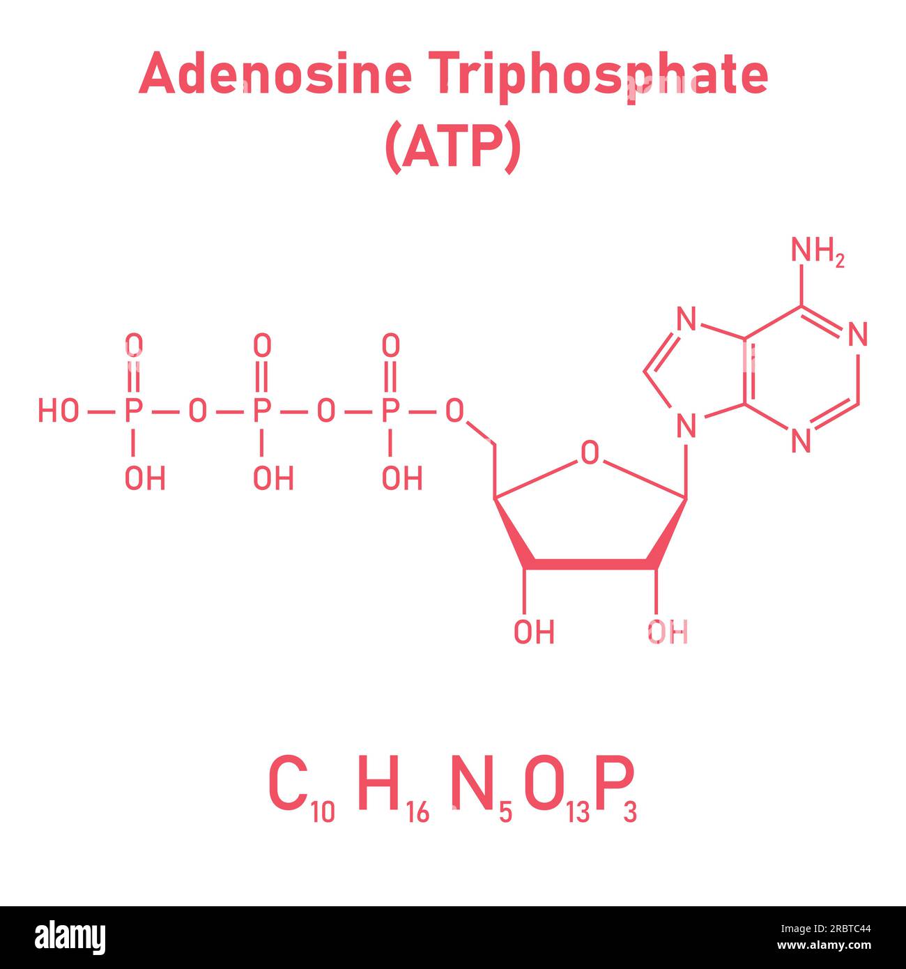 Chemische Struktur des Adenosintriphosphats (ATP) (C10H16N5O13P3) Adeninribose und drei Phosphatgruppen. Chemische Ressourcen für Lehrer und Stu Stock Vektor