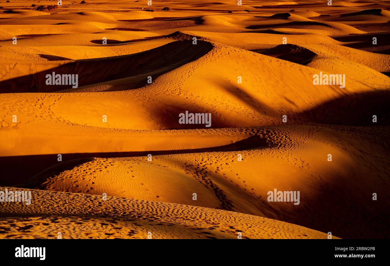 Sanddünen in der Wüste bei Sonnenuntergang, keine Menschen. Stockfoto