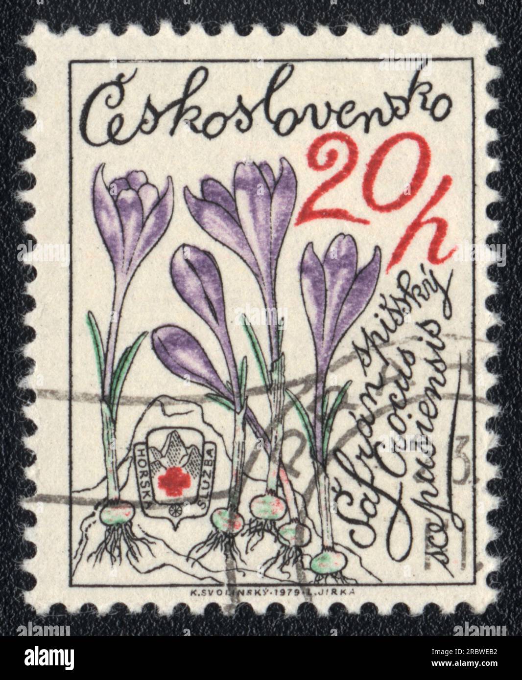 Ein in der Tschechoslowakei gedruckter Stempel zeigt das Bild eines Crocus scepusiensis, Kräuterserie, 1979 Stockfoto