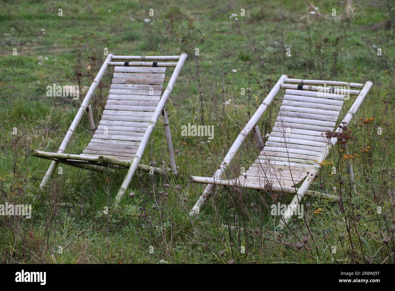 Zwei Liegestühle zwischen Gras und Kräutern in unbebautem Land. Stockfoto
