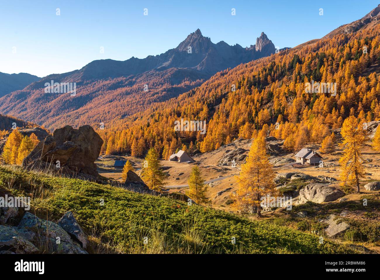 Herbstvormittag im Claree Valley mit Blick auf die Berggipfel von Cerces Massif. Laval, Hautes-Alpes, Alpen, Frankreich Stockfoto