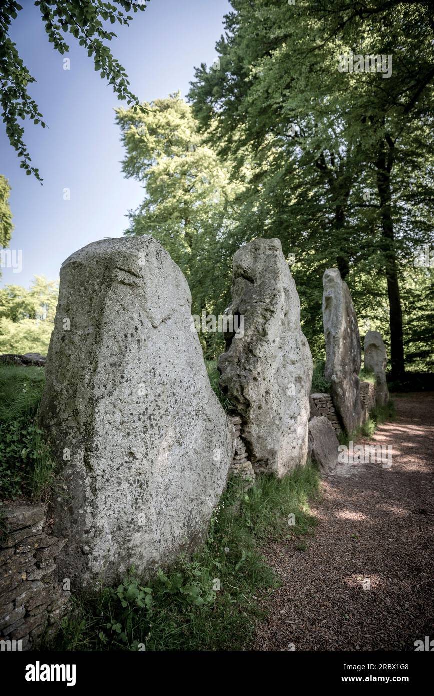 Waylands Smithy Neolithic Long Barrow auf dem Ridgeway, Oxfordshire, Großbritannien Stockfoto