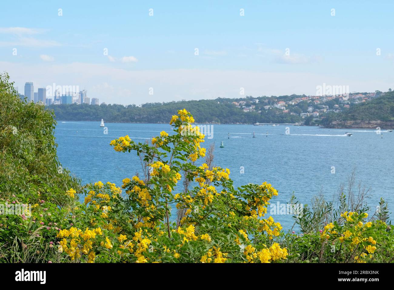 Watsons Bay in Sydney Stockfoto