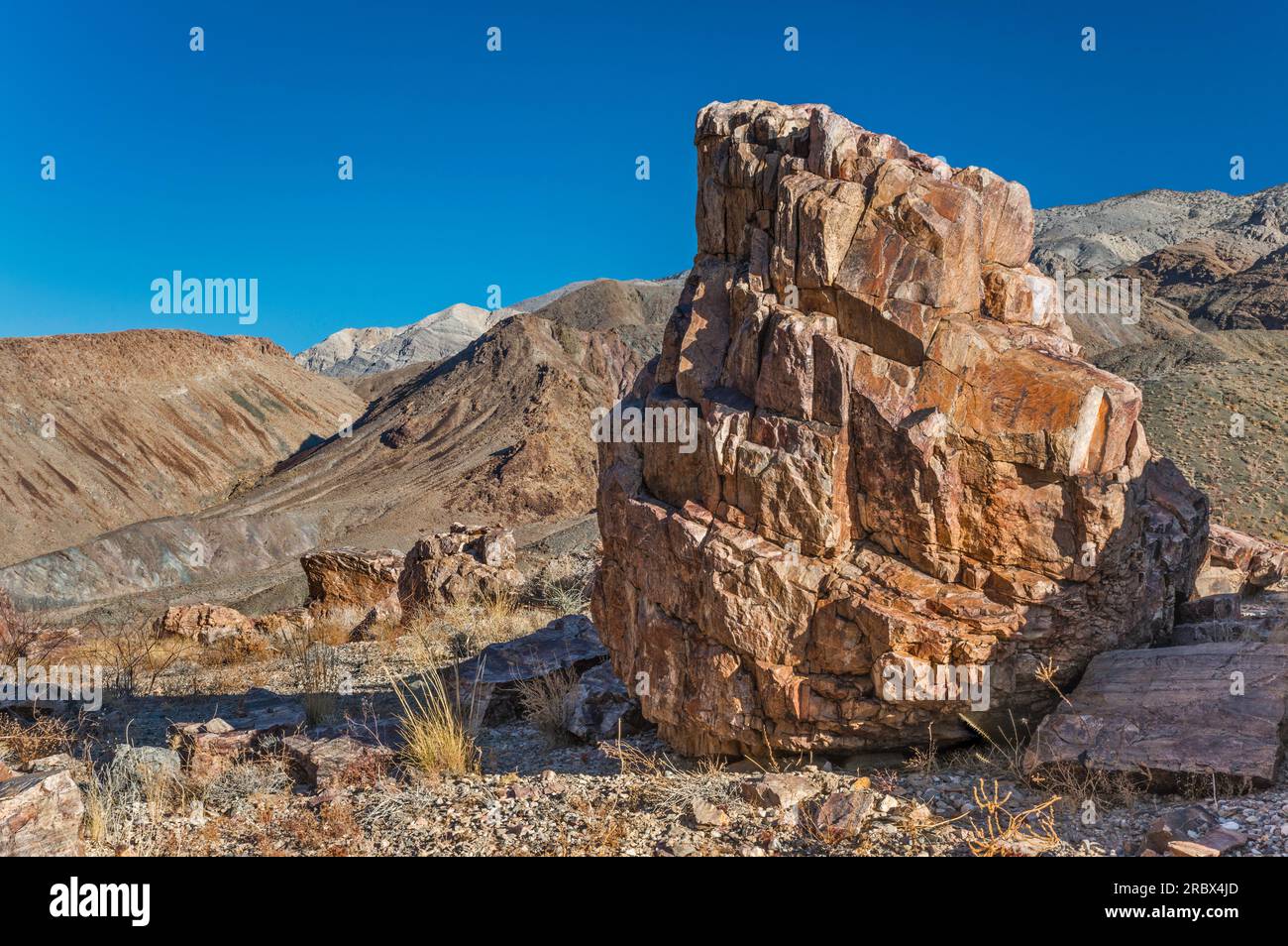 Quarzitfelsen, Big Pine Road, Inyo Mountains, Death Valley National Park, Kalifornien, USA Stockfoto