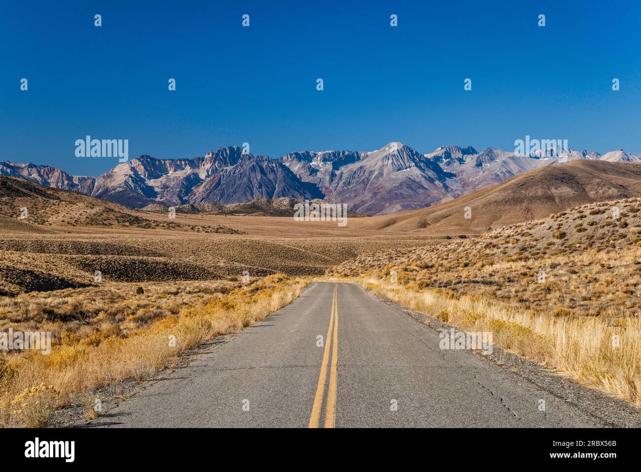 Sierra Nevada in der Ferne, Death Valley Road östlich von Big Pine, Spätherbst, Mojave Desert, Kalifornien, USA Stockfoto