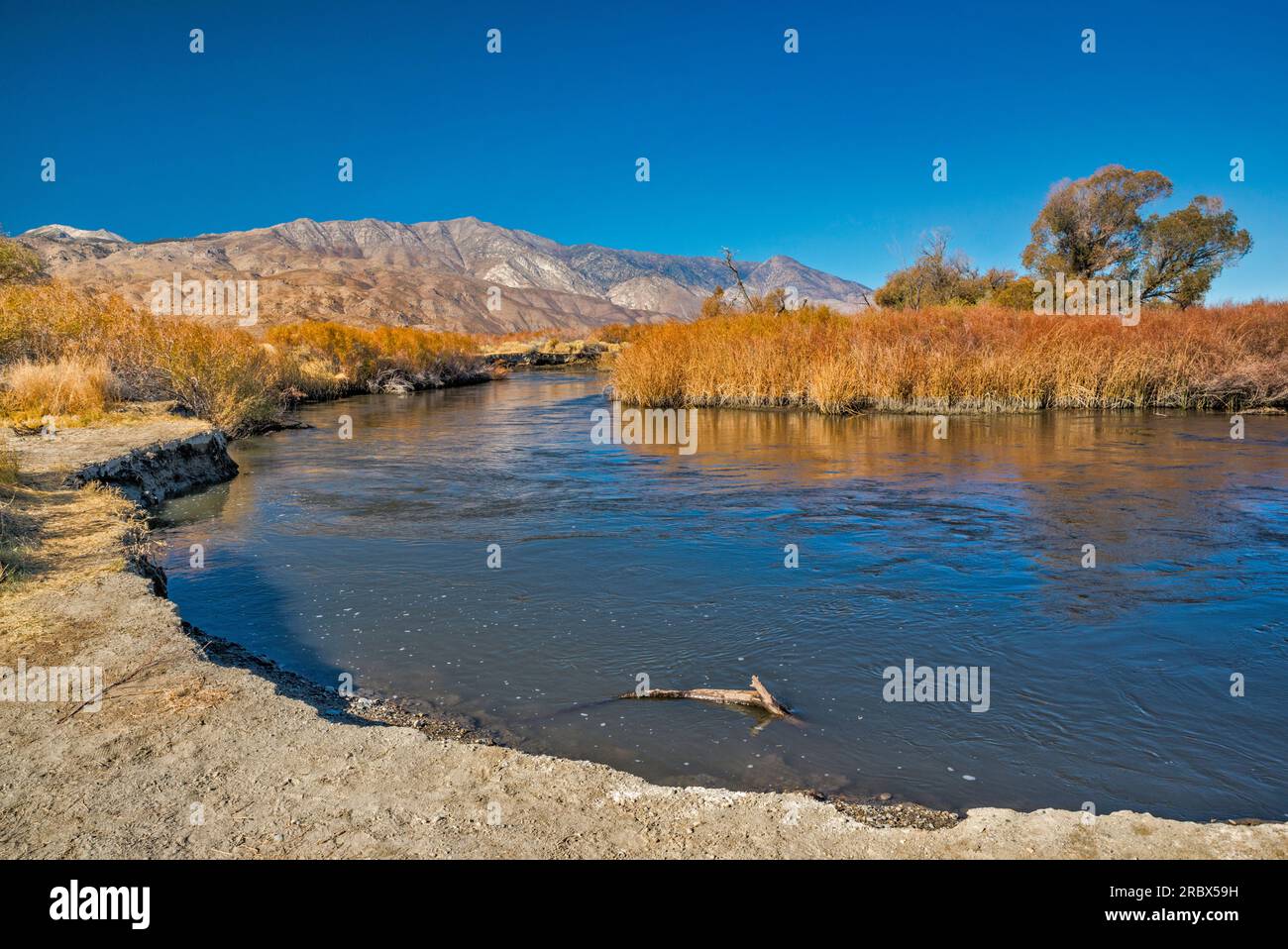 Owens River in Owens Valley, Sierra Nevada in der Ferne, Spätherbst, nahe Big Pine, Kalifornien, USA Stockfoto