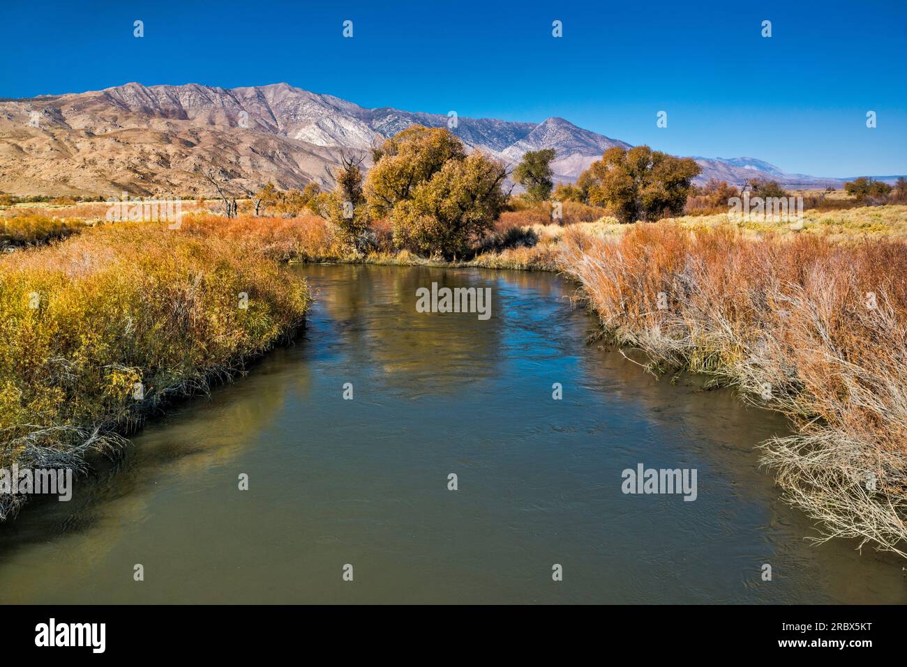 Owens River in Owens Valley, Sierra Nevada in der Ferne, Spätherbst, nahe Big Pine, Kalifornien, USA Stockfoto