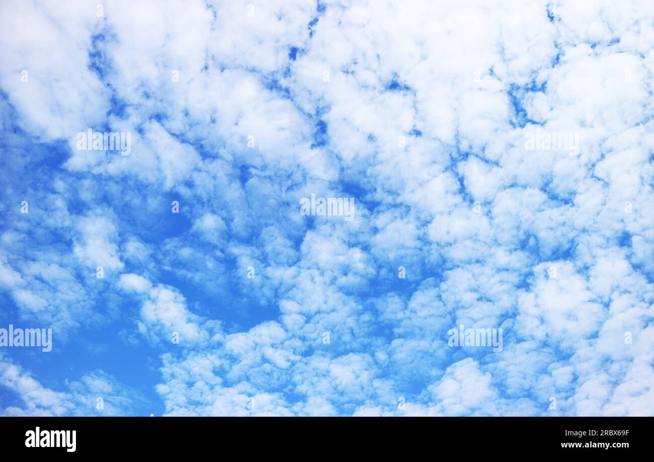 Reine weiße Altocumulus-Wolken verstreut auf dem leuchtenden blauen Himmel Stockfoto