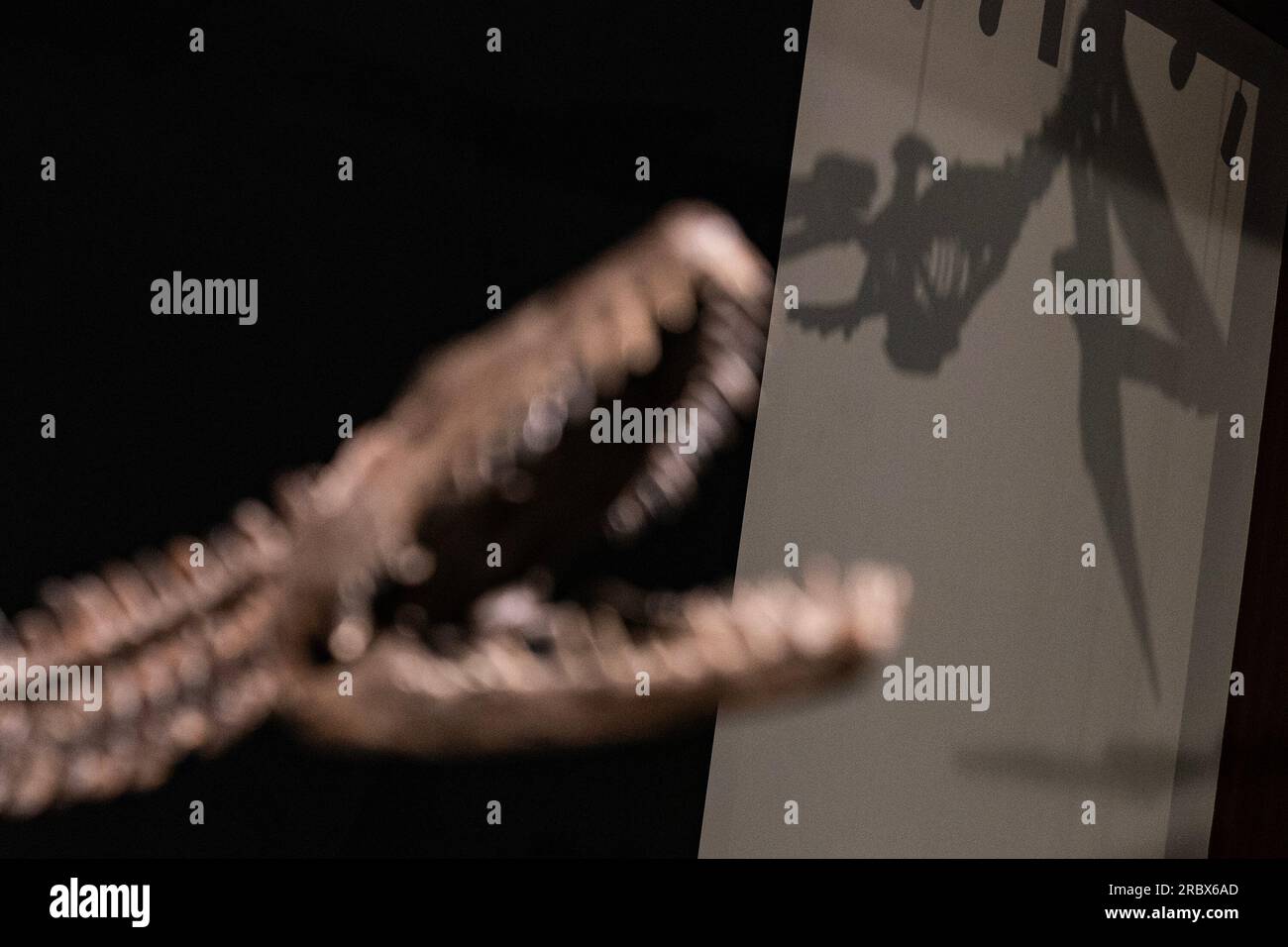 New York, New York, USA. 10. Juli 2023. Plesiosaur-Dinosaurier-Fossil (Details und Schatten) für Sotheby's Live Natural History Auction während eines Pressefotos in New York. Rare Flying Pteranodon (ca. 4 bis 6 Millionen $) und Plesiosaur (ca. 600.000 bis 800.000 $) werden am 26. Juli 2023 versteigert. (Kreditbild: © Fotograf Lev Radin/Pacific Press via ZUMA Press Wire) NUR REDAKTIONELLE VERWENDUNG! Nicht für den kommerziellen GEBRAUCH! Stockfoto